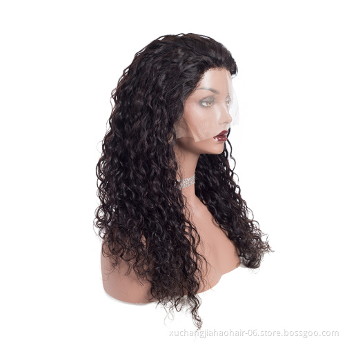 Raw Human Hair Deep Curly Wig,Wholesale Remy Brazilian Hair Transparent Lace Wigs Pre-Plucked 180% 200% density full lace wig